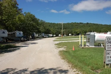 Trees and campsites in the campground